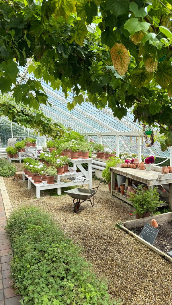 Découvrez la pépinière à livarot : plantes et créations florales